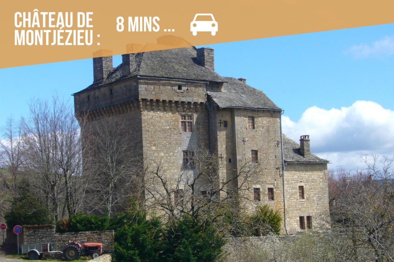 Apartment Le Point Sublime - Netflix/wifi Fibre/terrasse